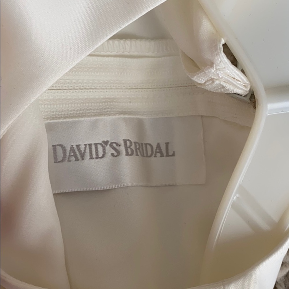 David’s Bridal Flower Girl Dress - Picture 7 of 10